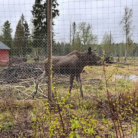 Kleiva 8 Skorovas Feriehus