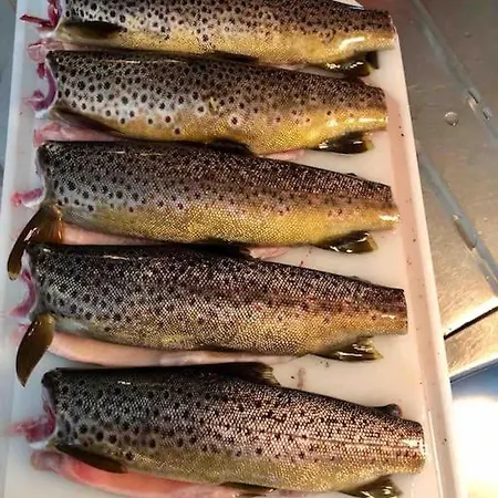 Feriehus Kleiva 8 Skorovas Namsskogan