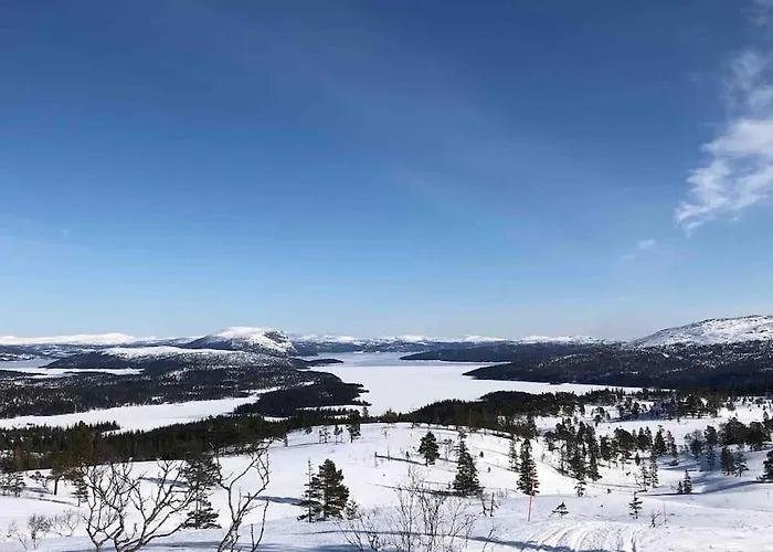 Kleiva 8 Skorovas Namsskogan
